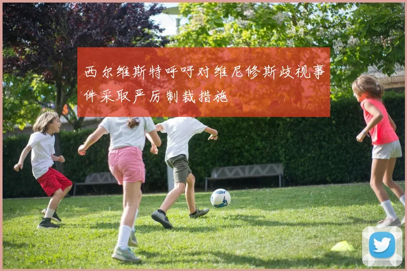 西尔维斯特呼吁对维尼修斯歧视事件采取严厉制裁措施