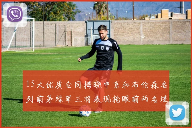 15大优质合同揭晓申京和布伦森名列前茅绿军三将表现抢眼前两名堪称传奇