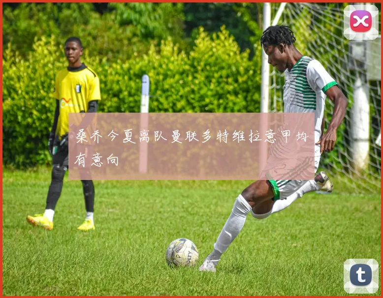 桑乔今夏离队曼联多特维拉意甲均有意向