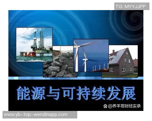 外教视角下的青训发展路径：从兴趣培养到成绩提升的转变之路